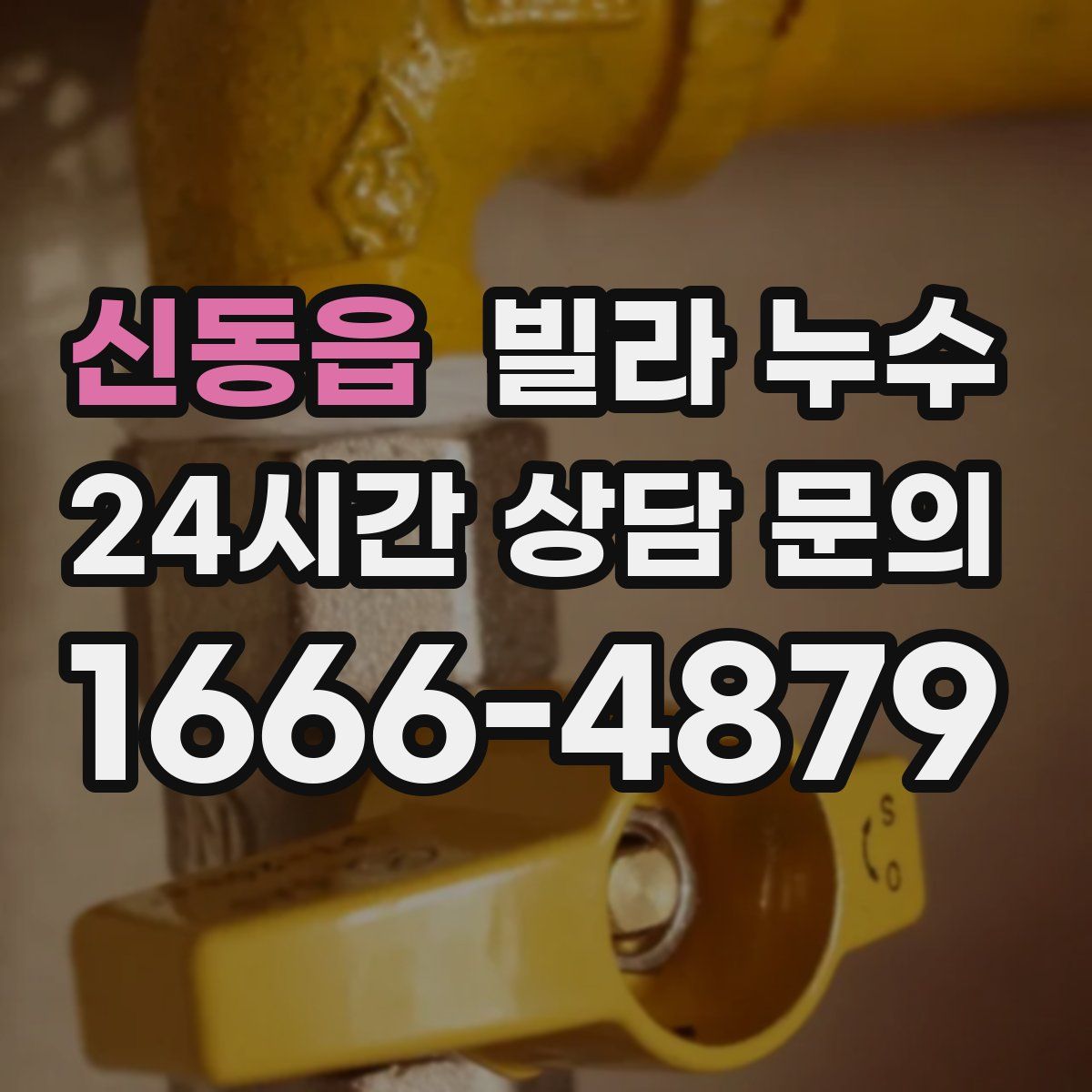 신동읍 빌라 누수