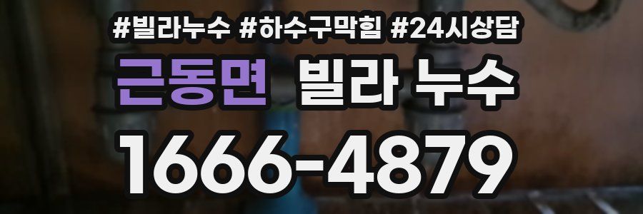 근동면 빌라 누수