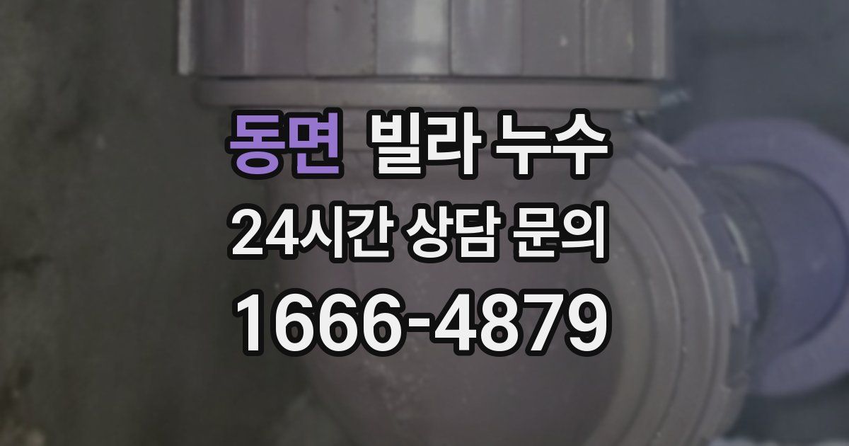 동면 빌라 누수