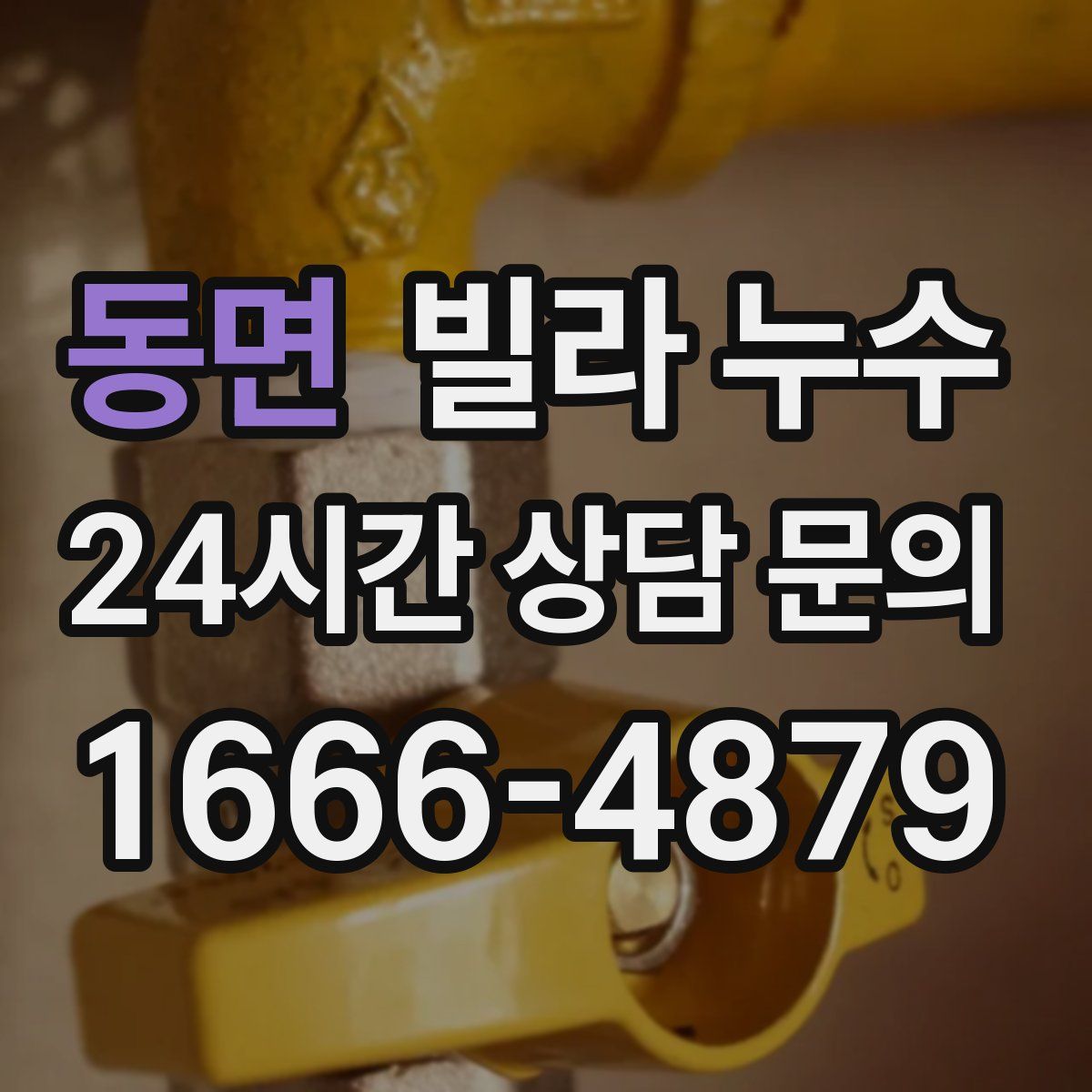 동면 빌라 누수