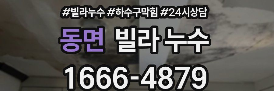 동면 빌라 누수