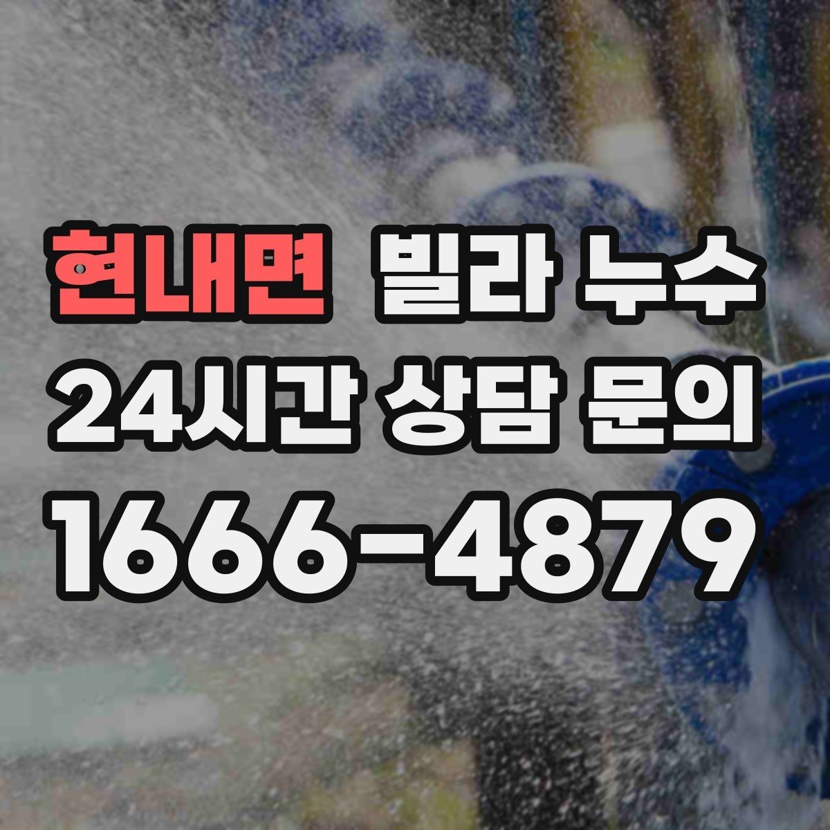 현내면 빌라 누수 세탁실 배수구 역류로 바닥이 젖는다면