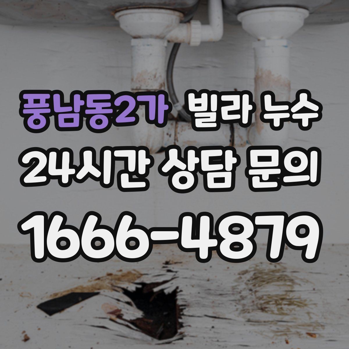 풍남동2가 빌라 누수 도배만 다시 하면 재발하는 이유