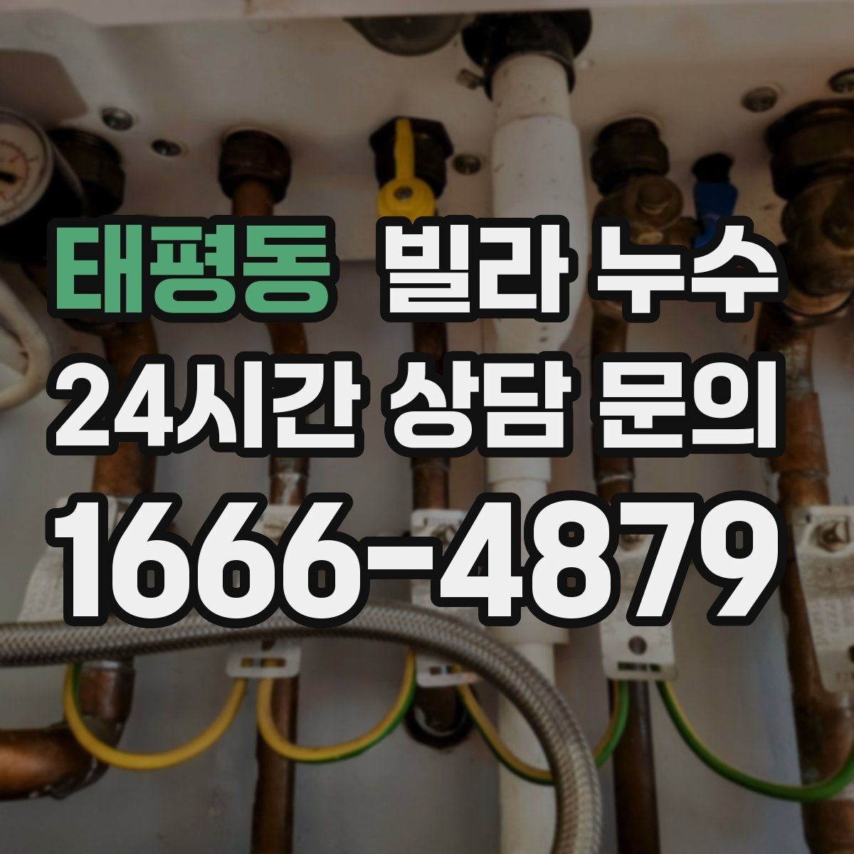 태평동 빌라 누수 옥상 가까운 방 천장에 얼룩이 생기면