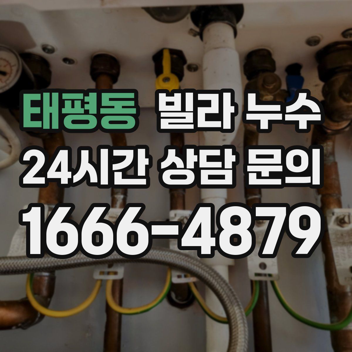 태평동 빌라 누수