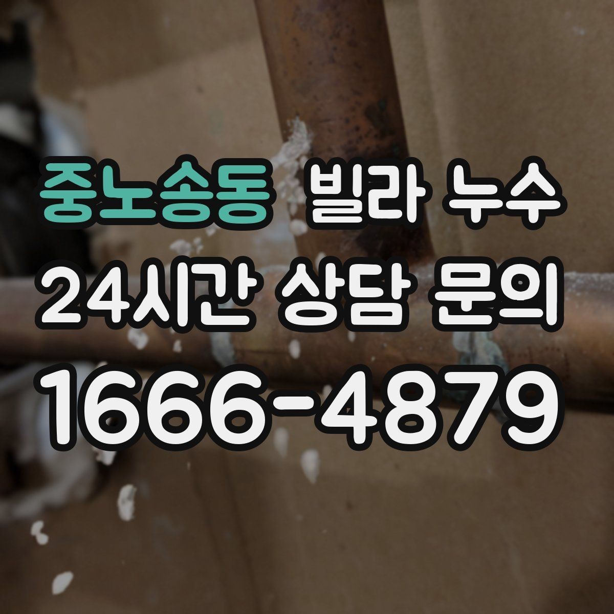 중노송동 빌라 누수 젖은 벽 주변 전기 사용 전 주의사항