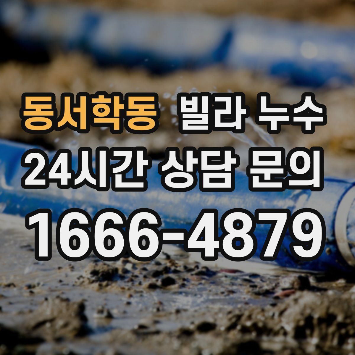 동서학동 빌라 누수