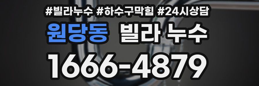 원당동 빌라 누수