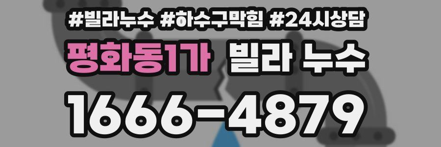 평화동1가 빌라 누수