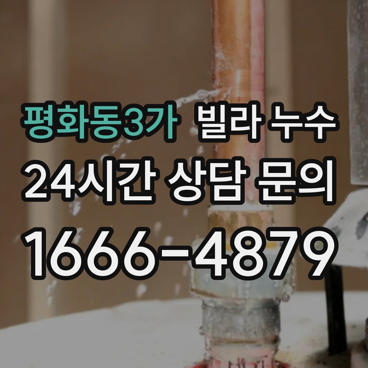 평화동3가 빌라 누수