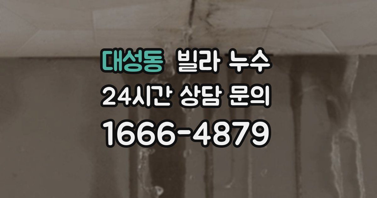대성동 빌라 누수