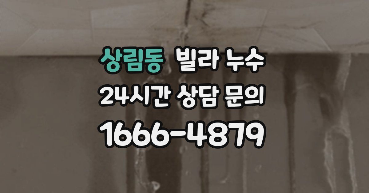 상림동 빌라 누수