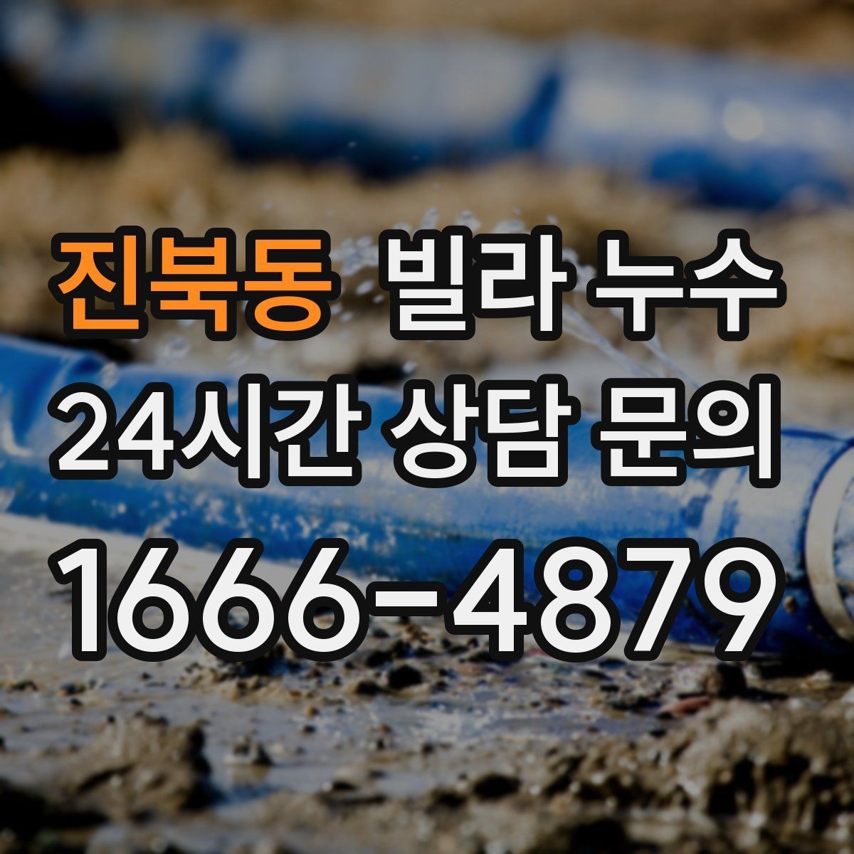 진북동 빌라 누수 도배만 다시 하면 재발하는 이유