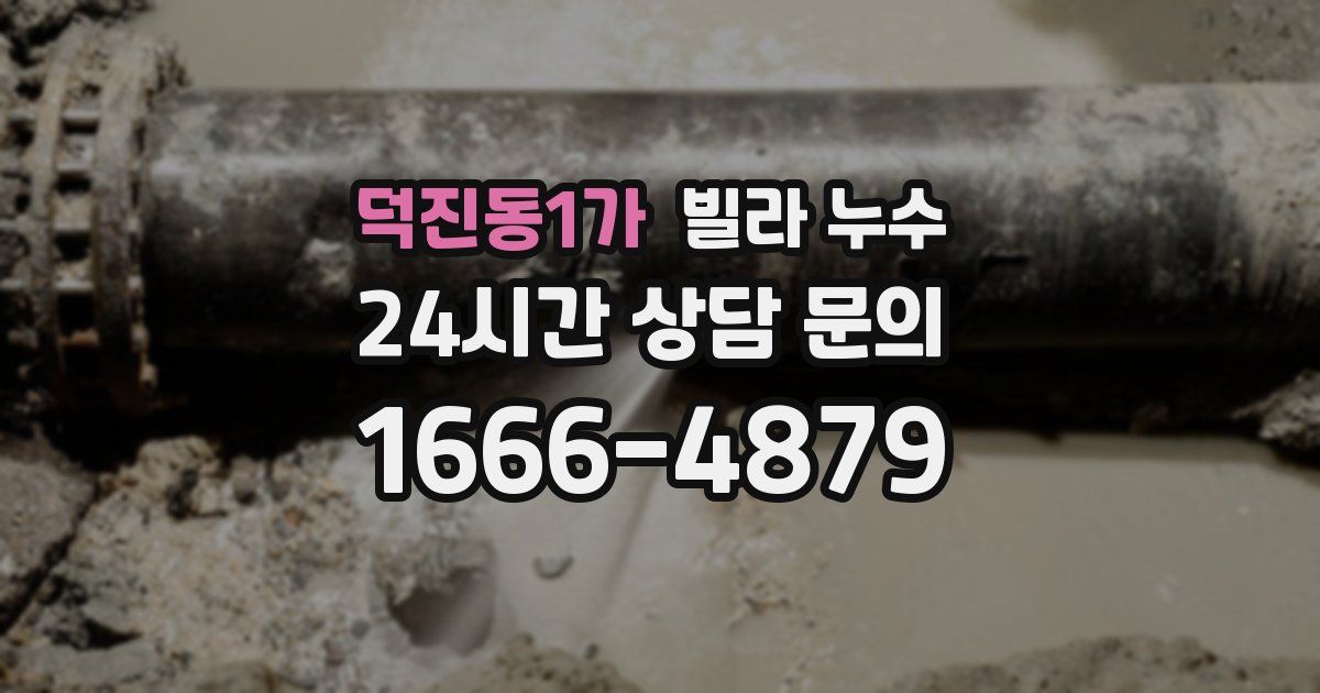 덕진동1가 빌라 누수