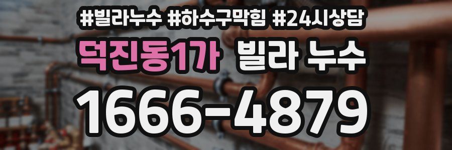 덕진동1가 빌라 누수