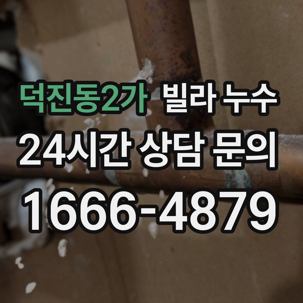 덕진동2가 빌라 누수 누수로 인한 2차 피해를 줄이는 방법