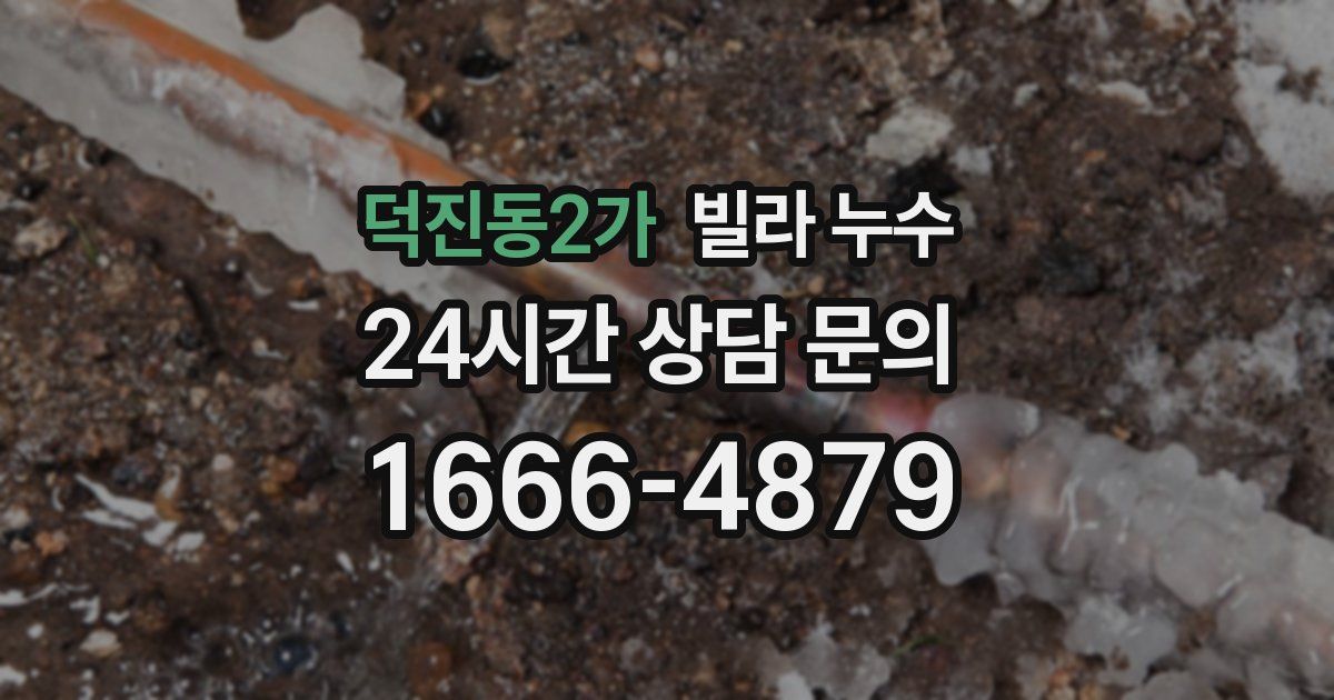 덕진동2가 빌라 누수