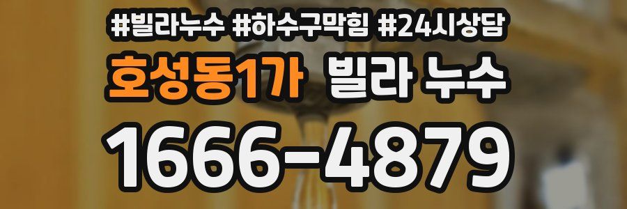 호성동1가 빌라 누수