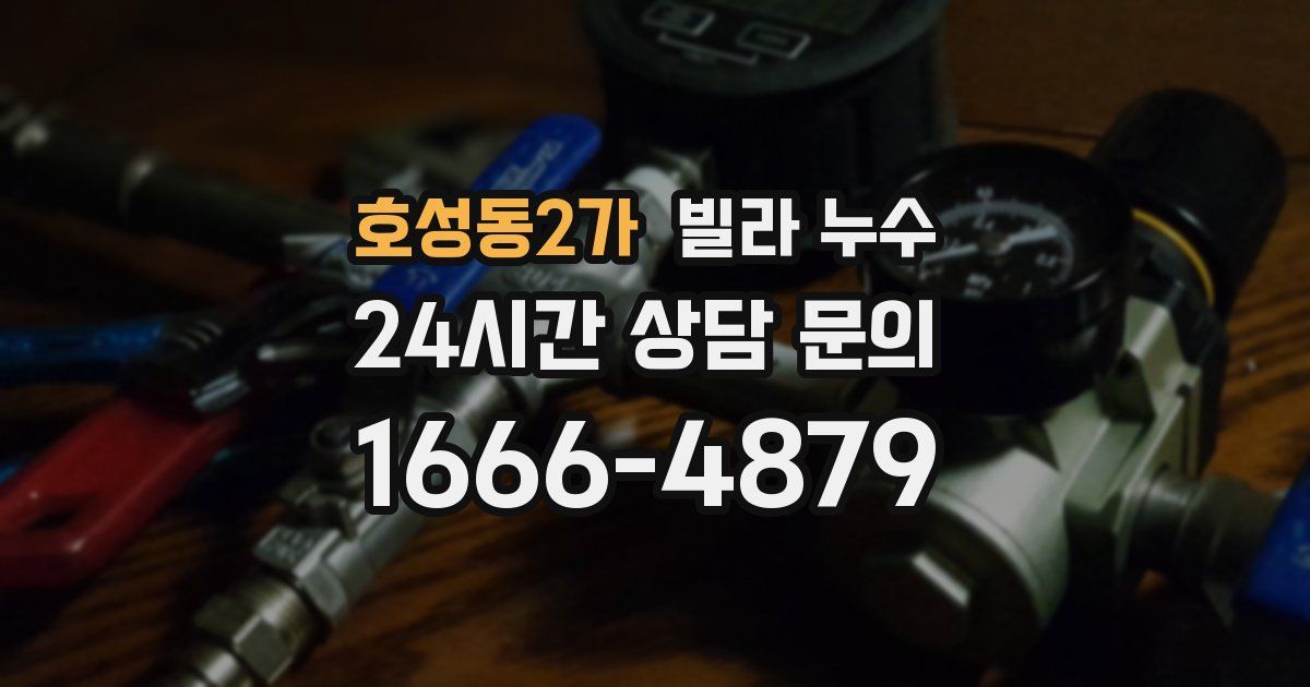 호성동2가 빌라 누수