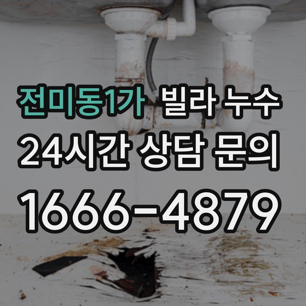 전미동1가 빌라 누수 세탁실 배수구 역류로 바닥이 젖는다면