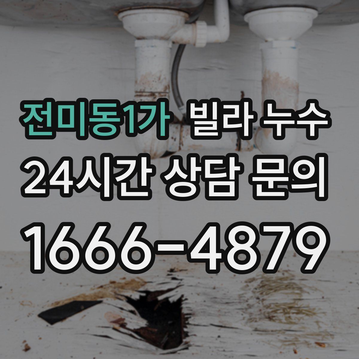 전미동1가 빌라 누수