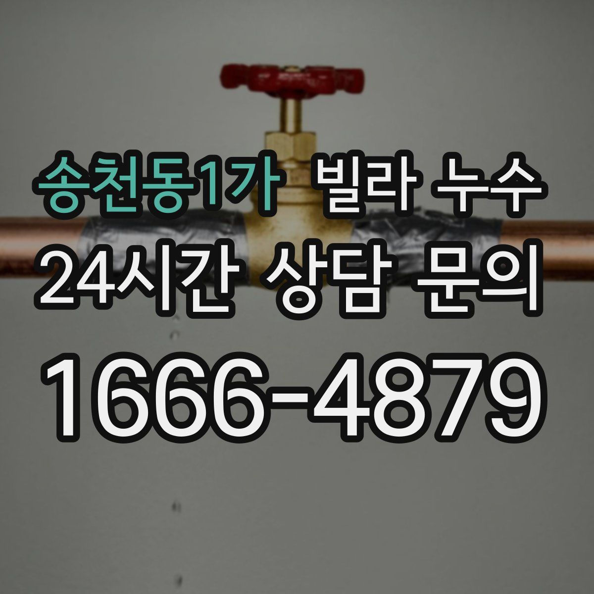 송천동1가 빌라 누수