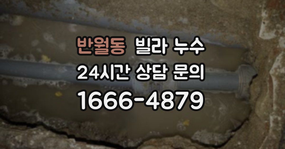 반월동 빌라 누수