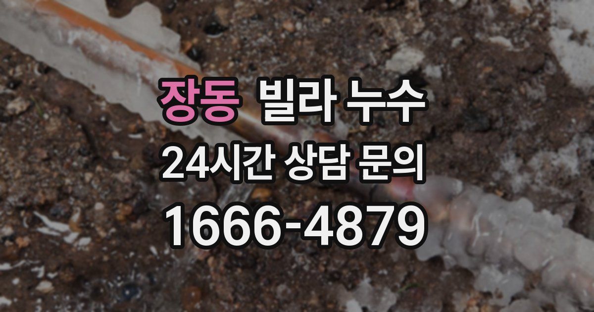 장동 빌라 누수