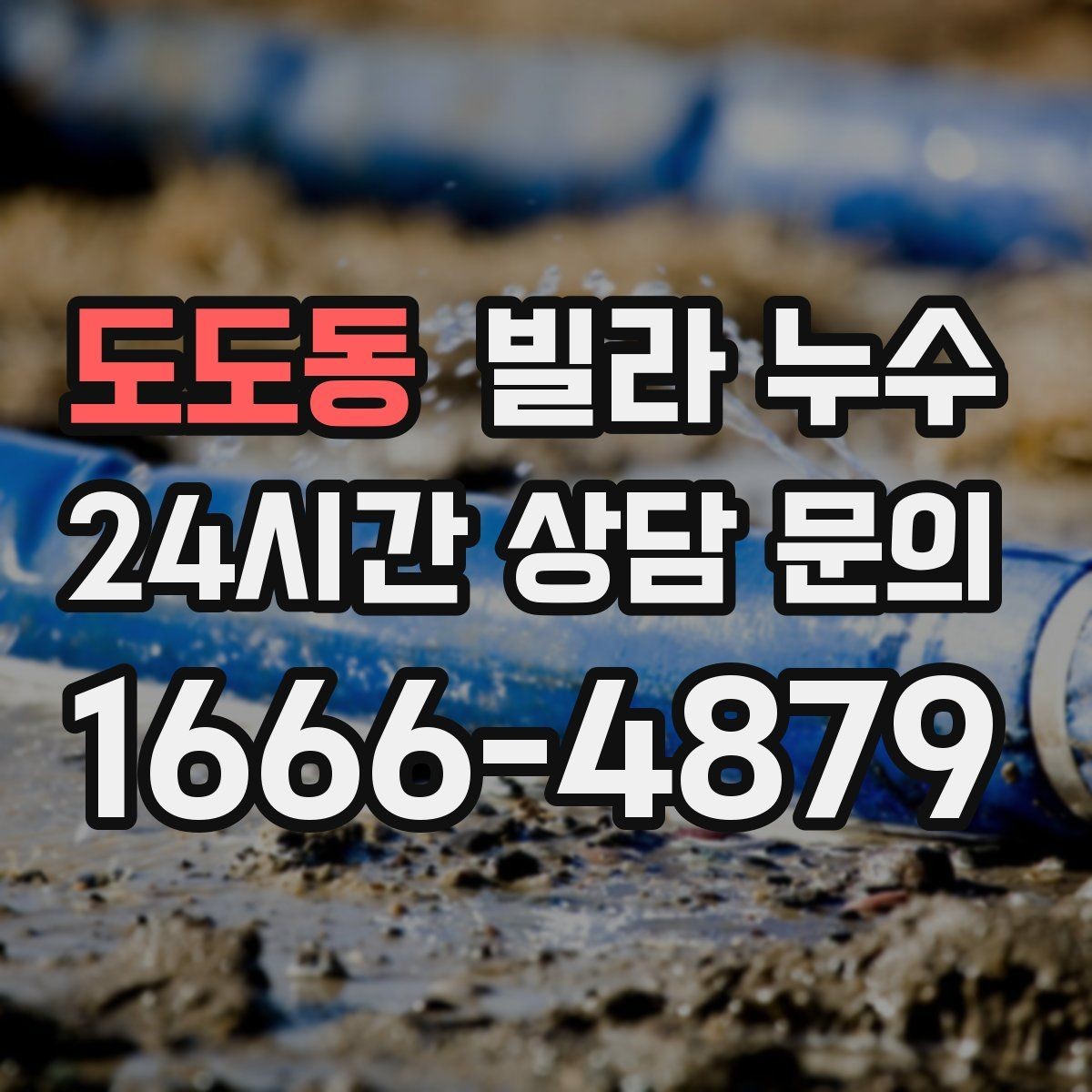 도도동 빌라 누수 배수관 문제로 벽이 젖는 경우 정리