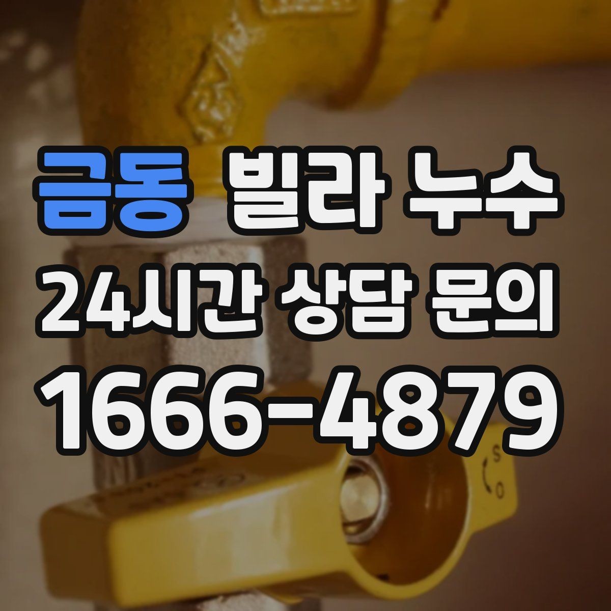 금동 빌라 누수 계량기함 주변 물기 발견 시 점검 포인트