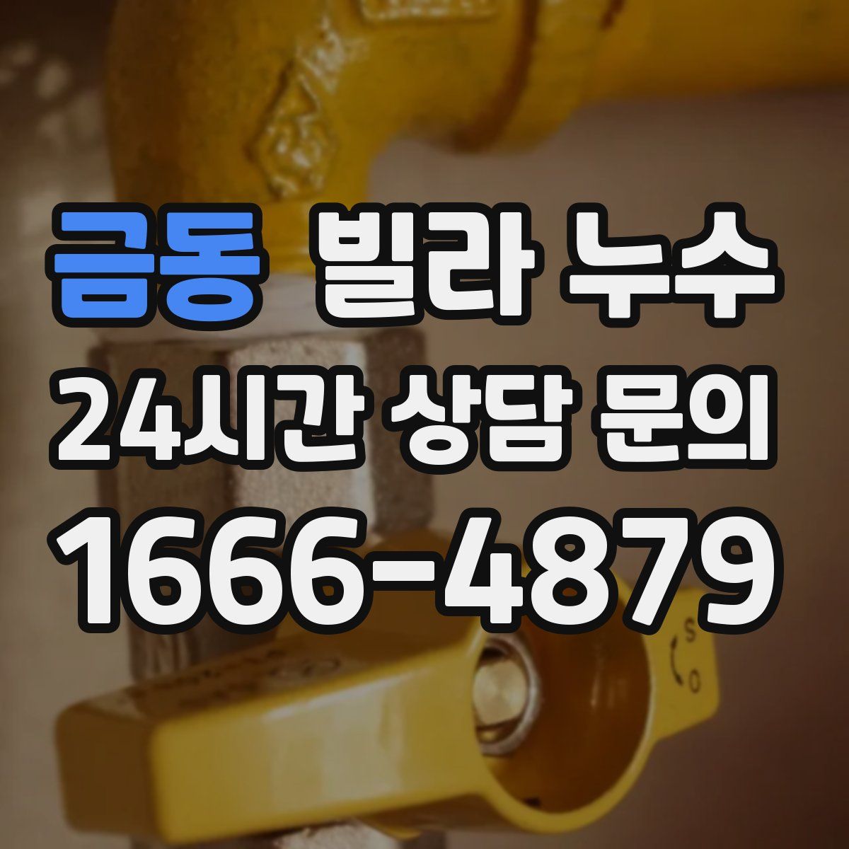 금동 빌라 누수