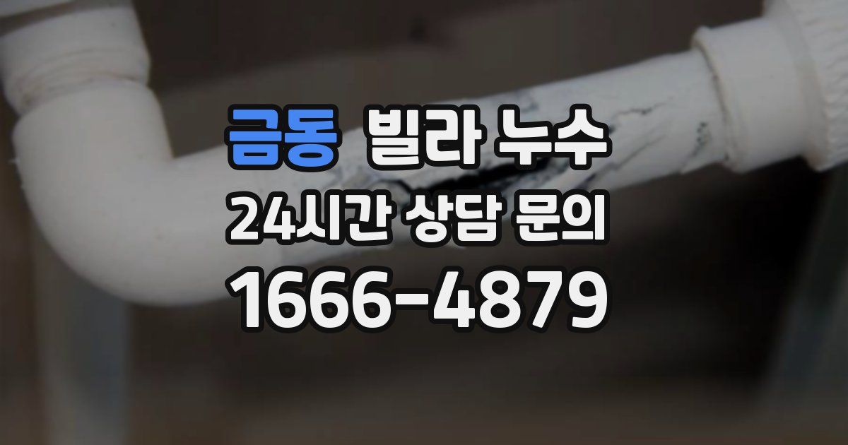 금동 빌라 누수