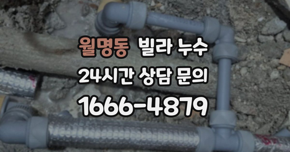 월명동 빌라 누수