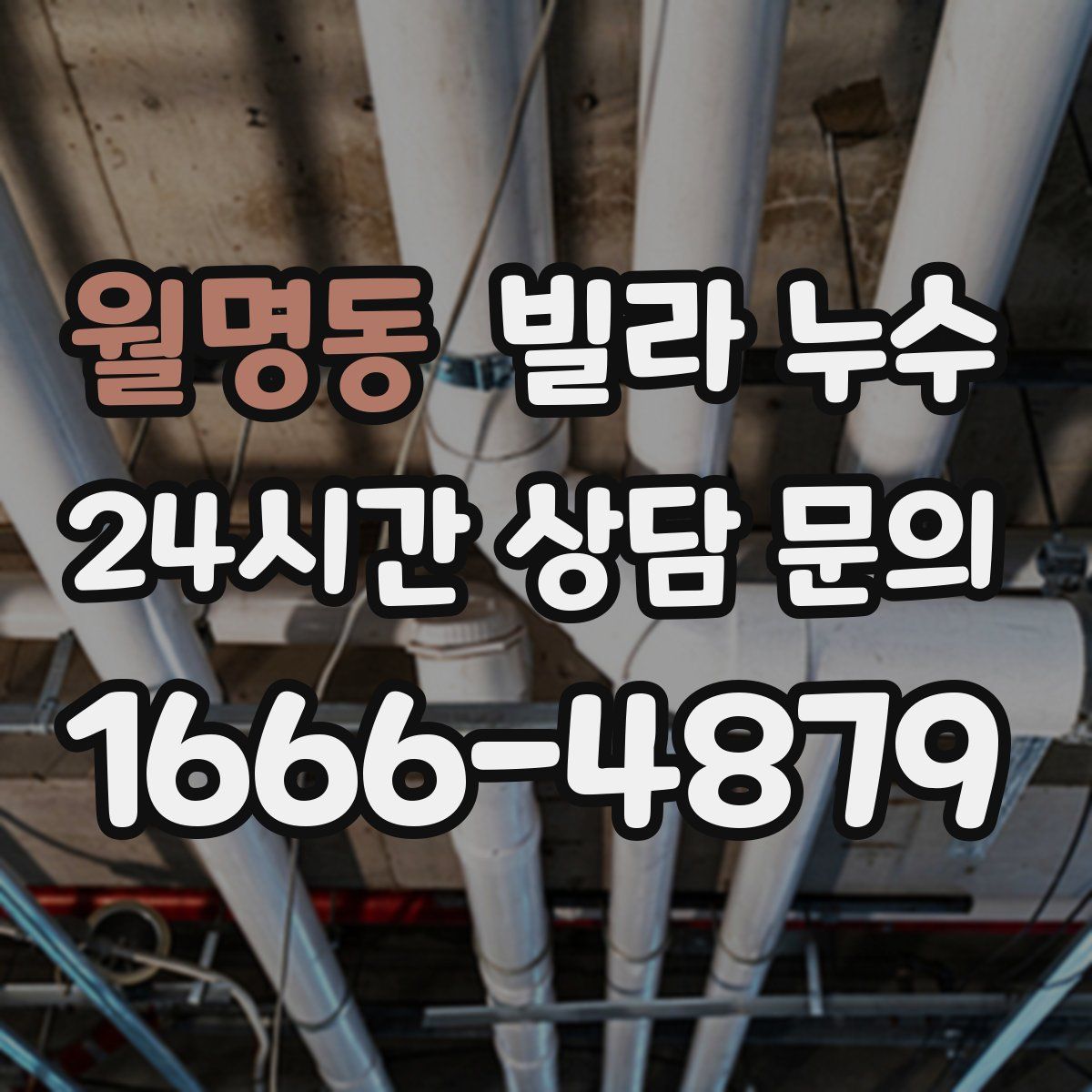 월명동 빌라 누수