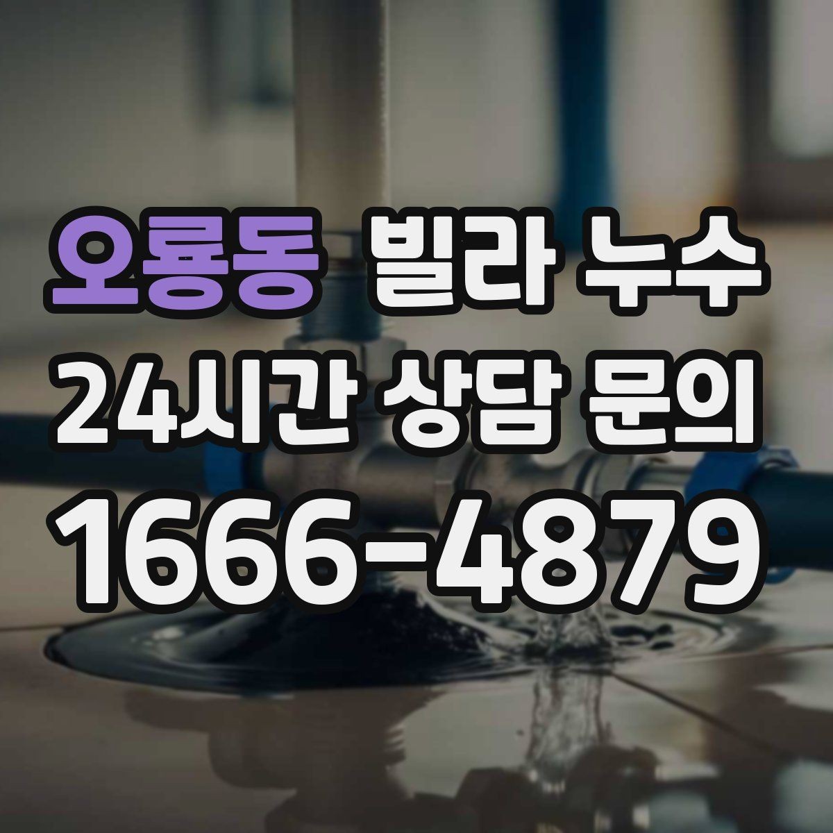 오룡동 빌라 누수 주방 쪽 벽이 젖는다면 배관 가능성