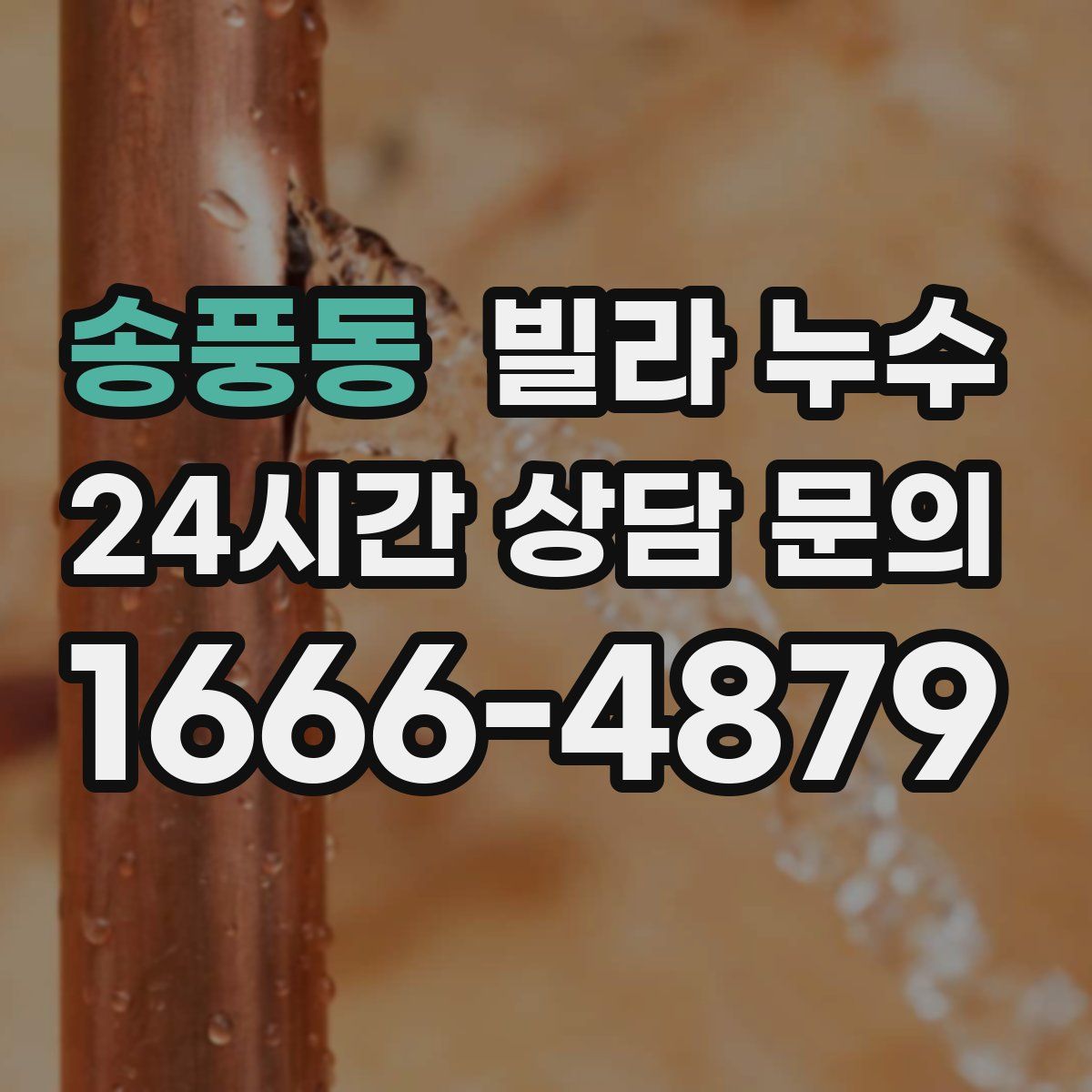 송풍동 빌라 누수