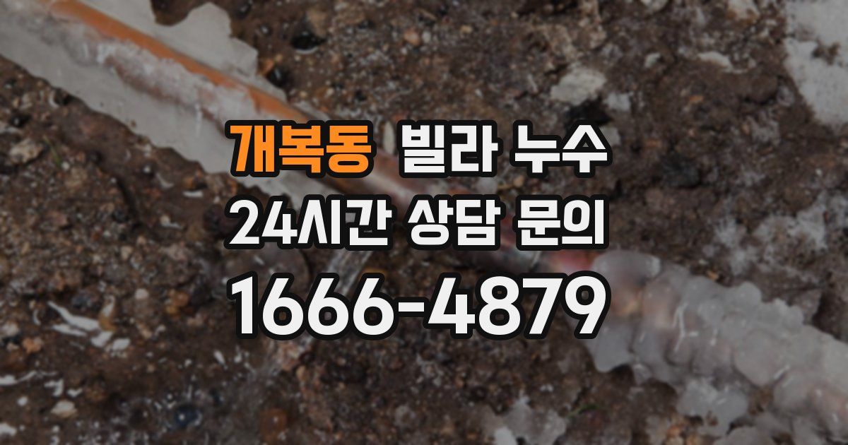 개복동 빌라 누수