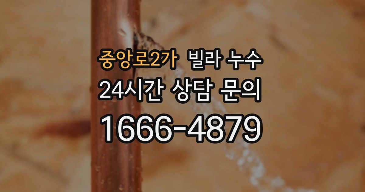 중앙로2가 빌라 누수