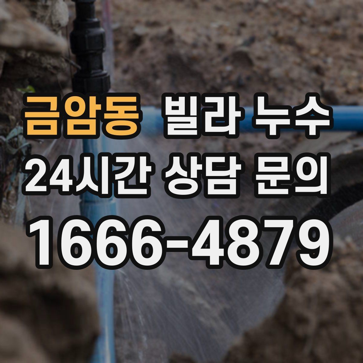 금암동 빌라 누수 신발장 아래쪽이 젖으면 원인부터 점검