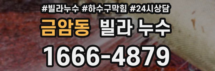 금암동 빌라 누수