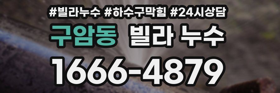 구암동 빌라 누수