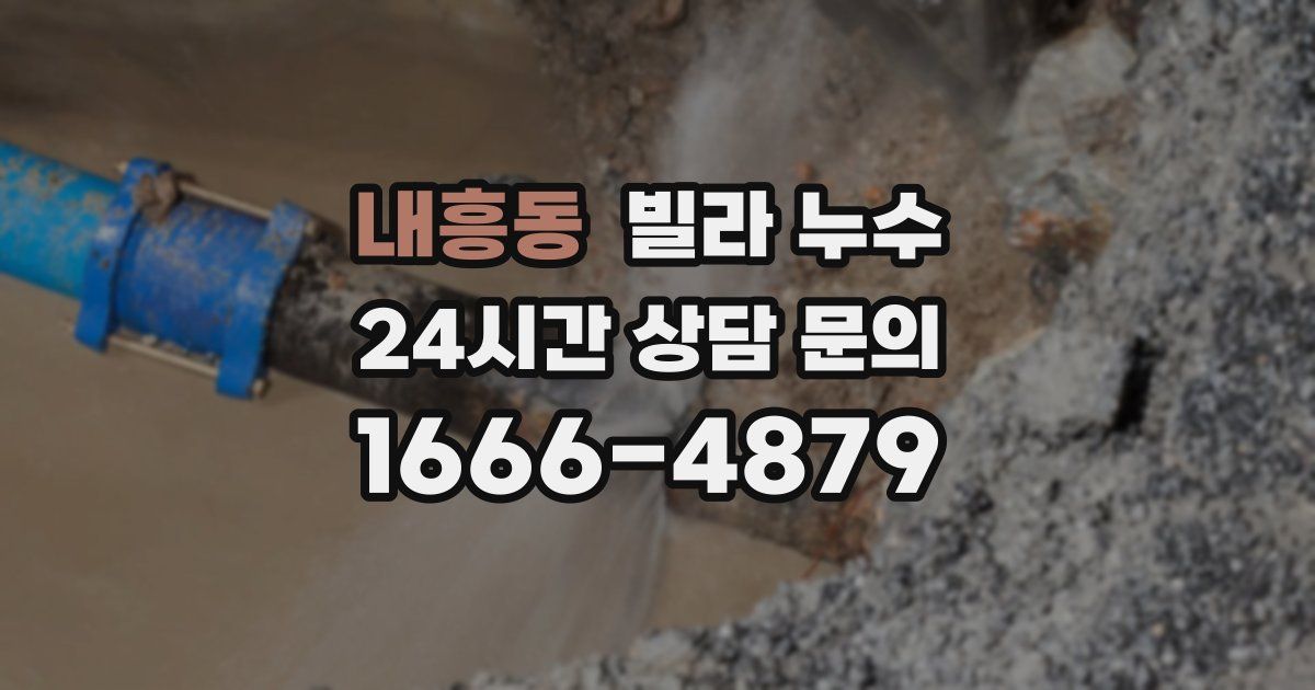 내흥동 빌라 누수