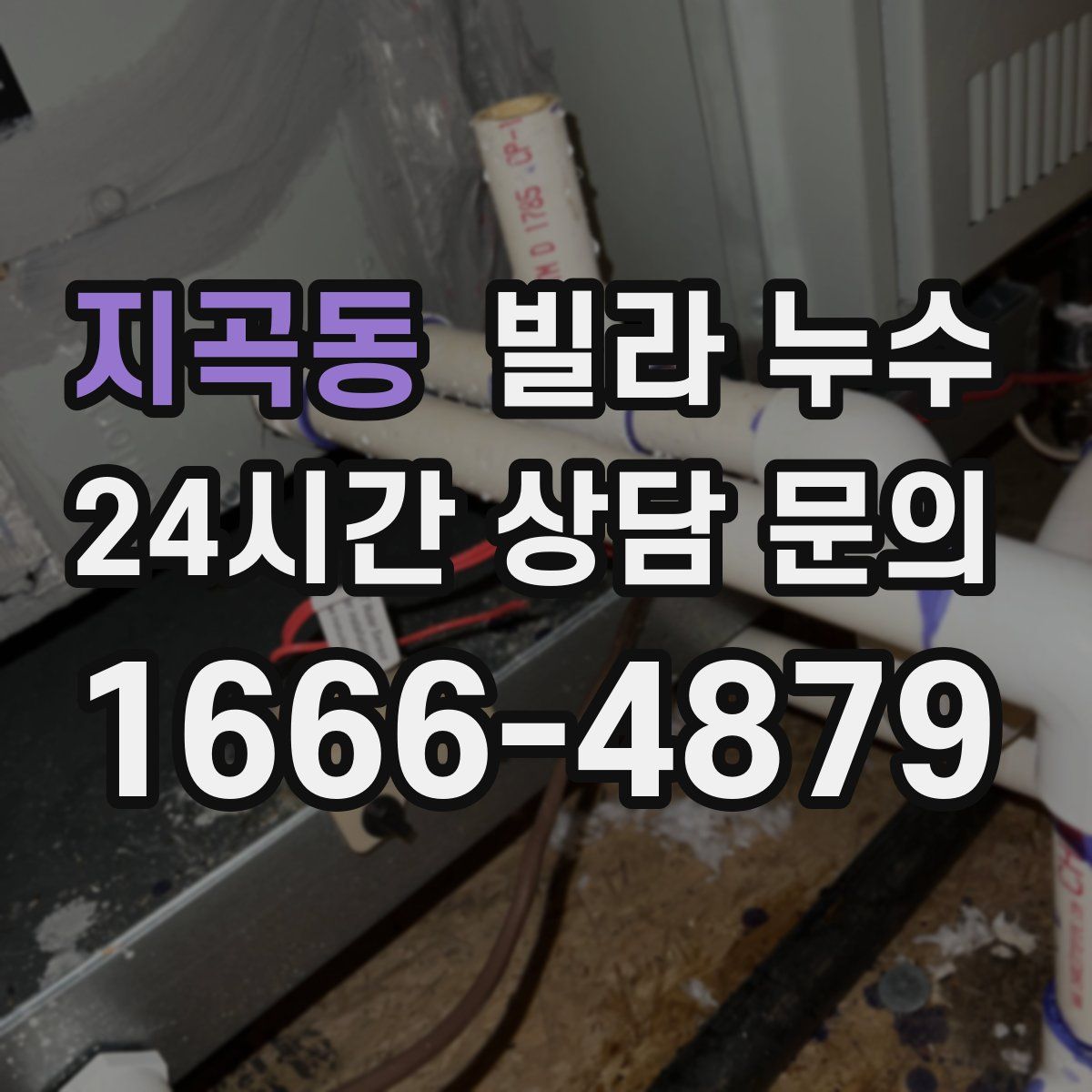 지곡동 빌라 누수