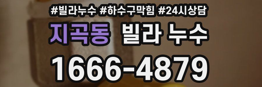 지곡동 빌라 누수