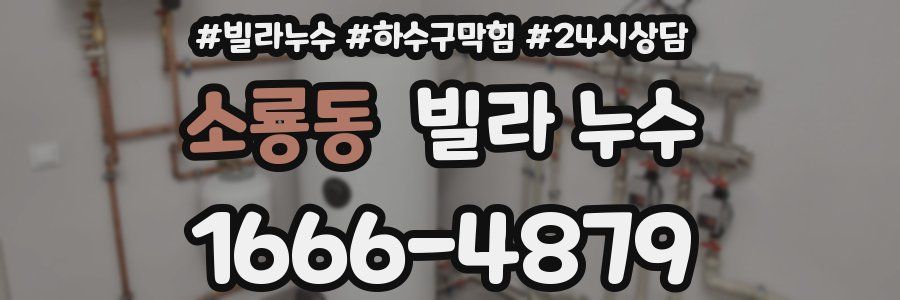 소룡동 빌라 누수