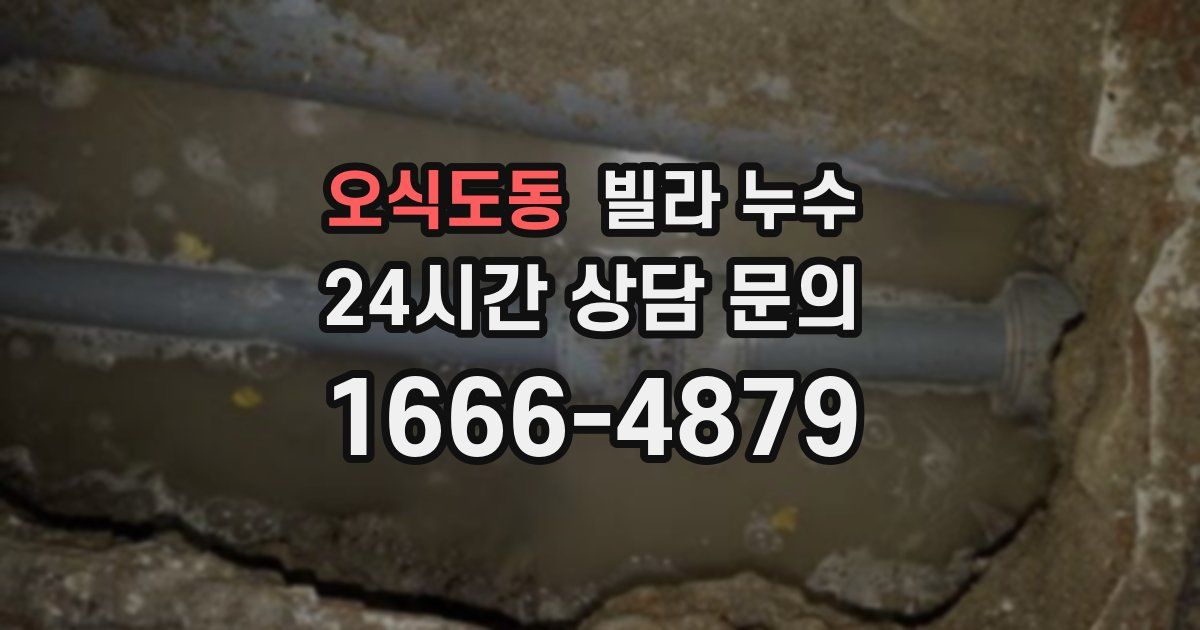 오식도동 빌라 누수
