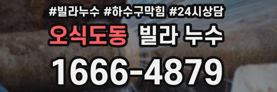오식도동 빌라 누수