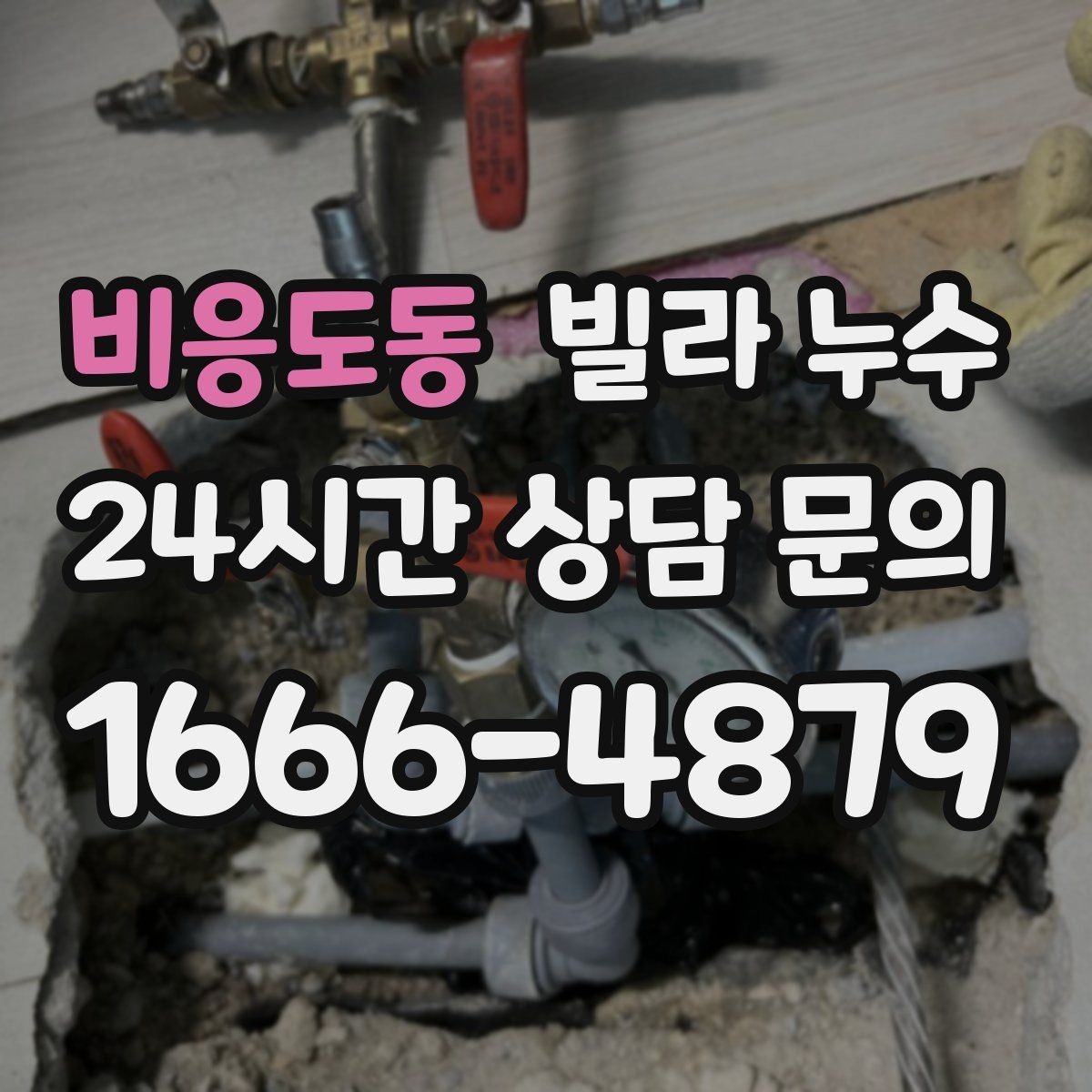 비응도동 빌라 누수 가구 뒤 벽이 젖어 곰팡이가 생길 때