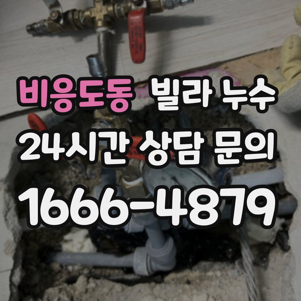 비응도동 빌라 누수