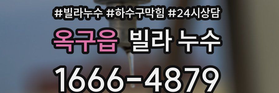 옥구읍 빌라 누수